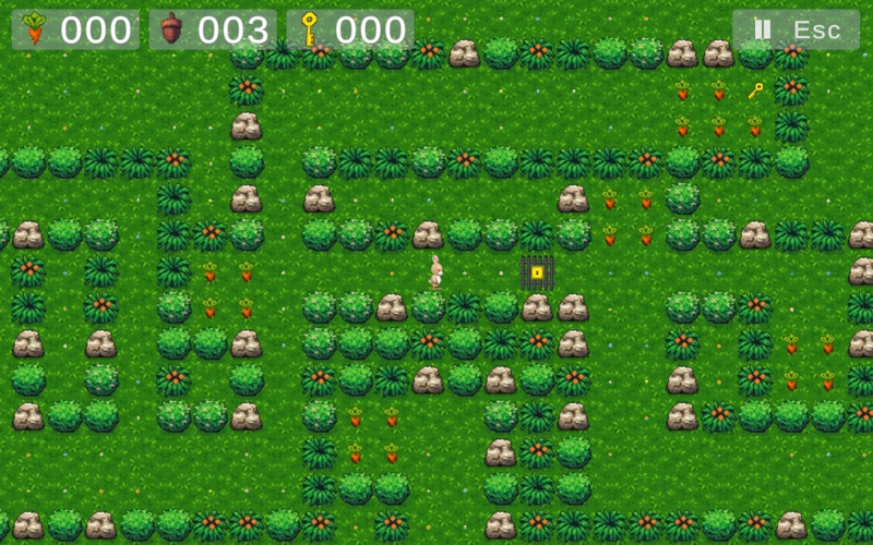Hare In Maze screenshot