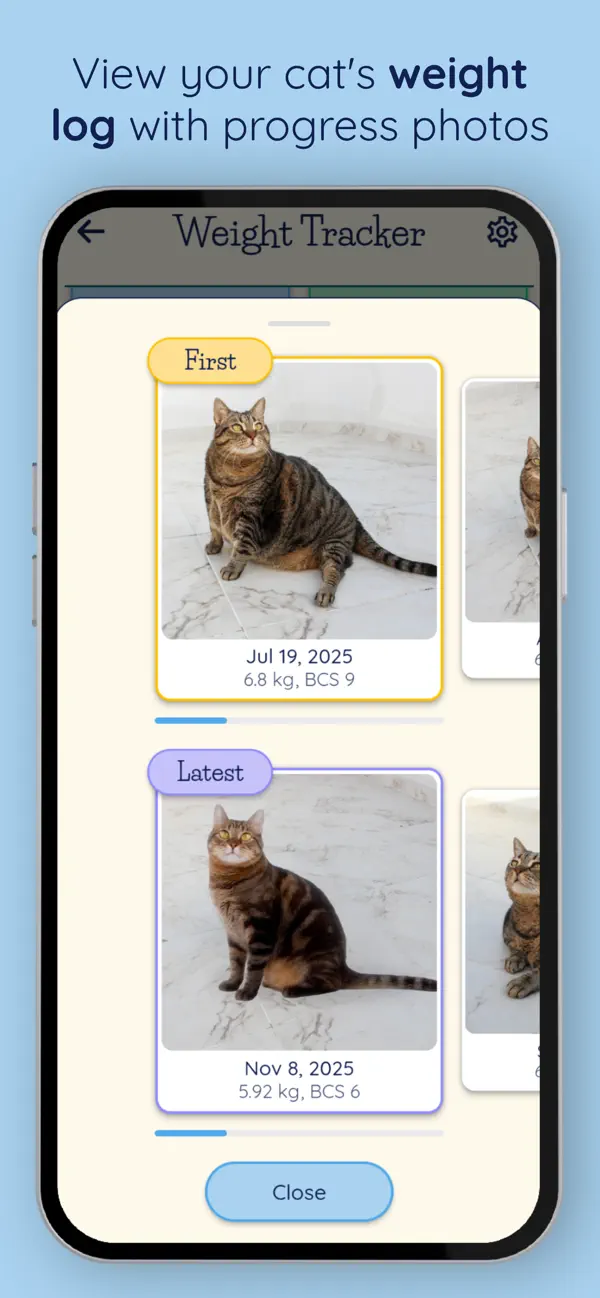 Cat Weight Kit Screenshot 6