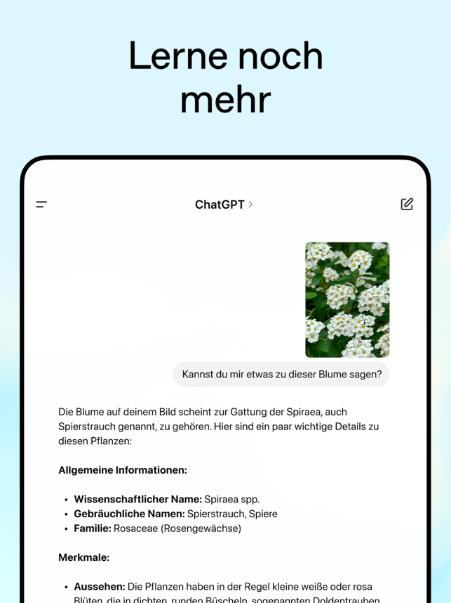 ‎ChatGPT Screenshot