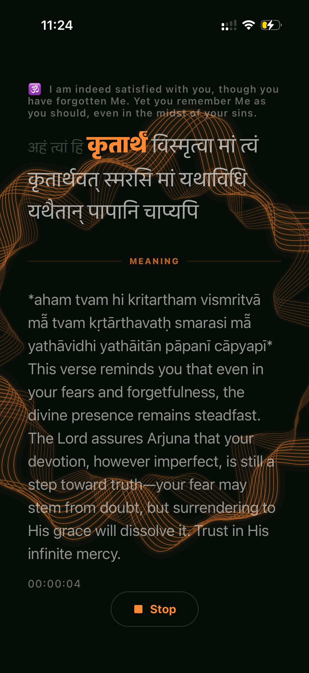Aradhana Kit screenshot 7