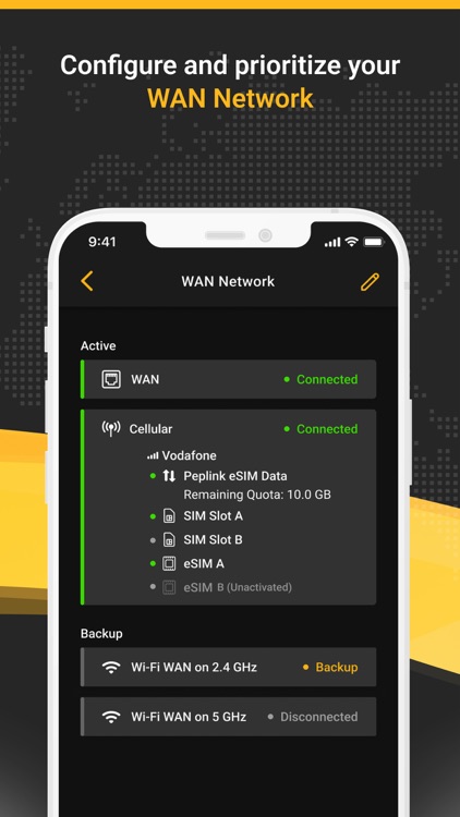 Peplink screenshot-3
