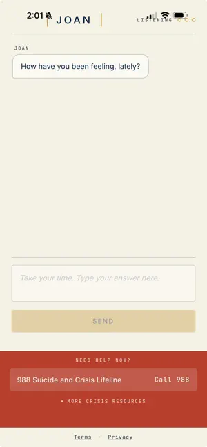 Hello Joan screenshot 4
