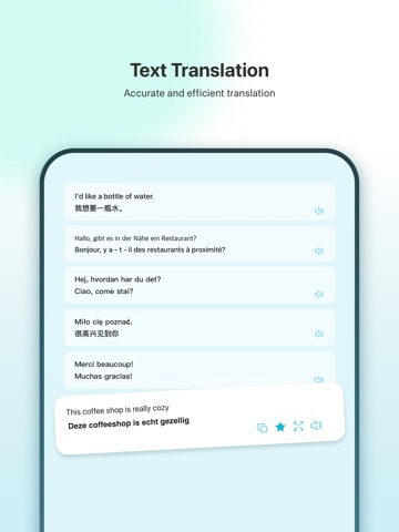 GeekTranslate iPad screenshot
