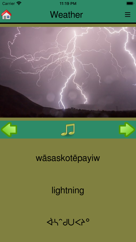 #2. MLCN Cree Language App (iOS) 由: LifeSpark Technologies Inc