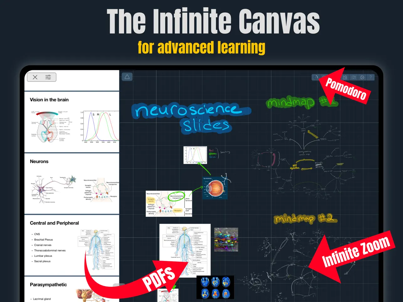 Screenshot #4 pour Ahmni: Infinite Canvas