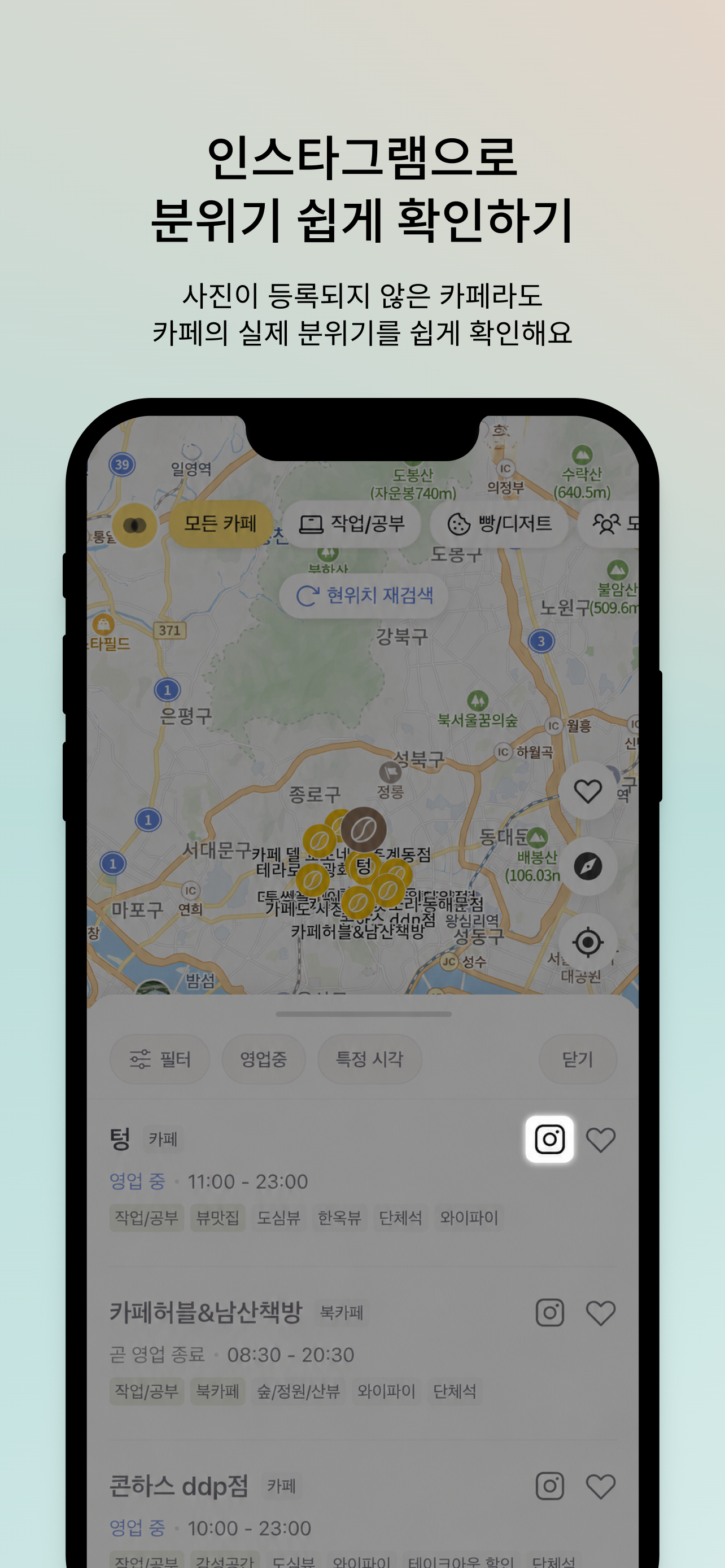 카페핀즈
