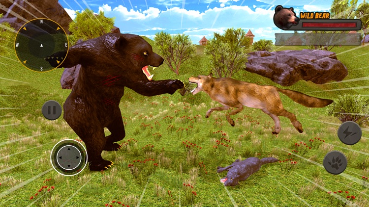 Grizzly Bear Wild Attack