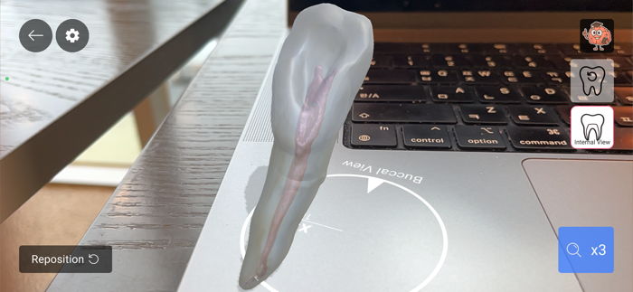 Dental InsightMaster