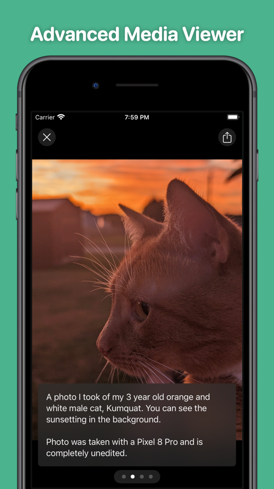#5. Pipilo (iOS) Podle: Lukasz Rutkowski