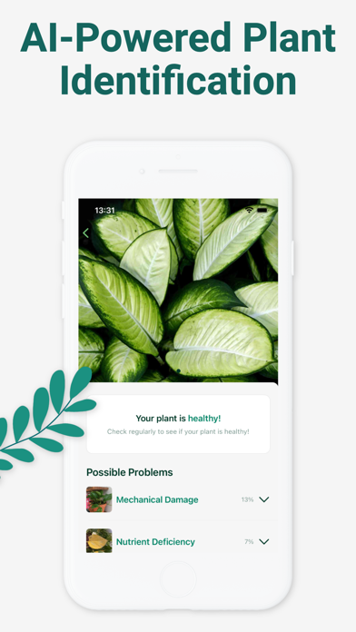 Plant & Flowers Identification Screenshot