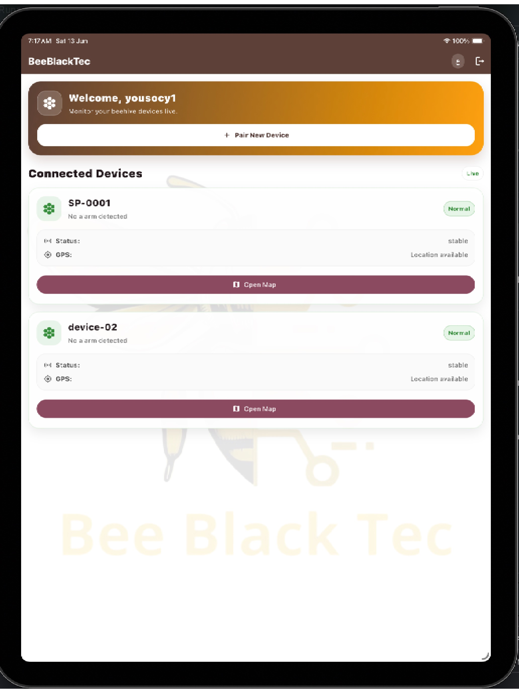 Bee Black Tec screenshot 10