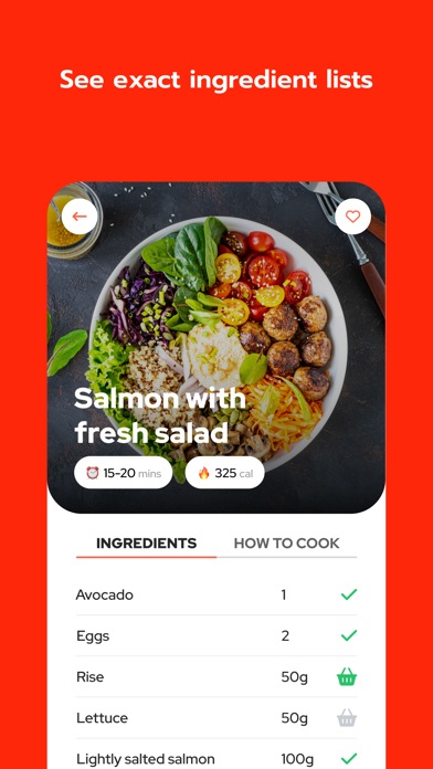 Cooking Recipes AI Screenshot