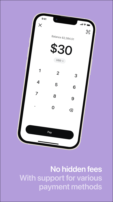 Sentz - The Global Payment App Screenshot