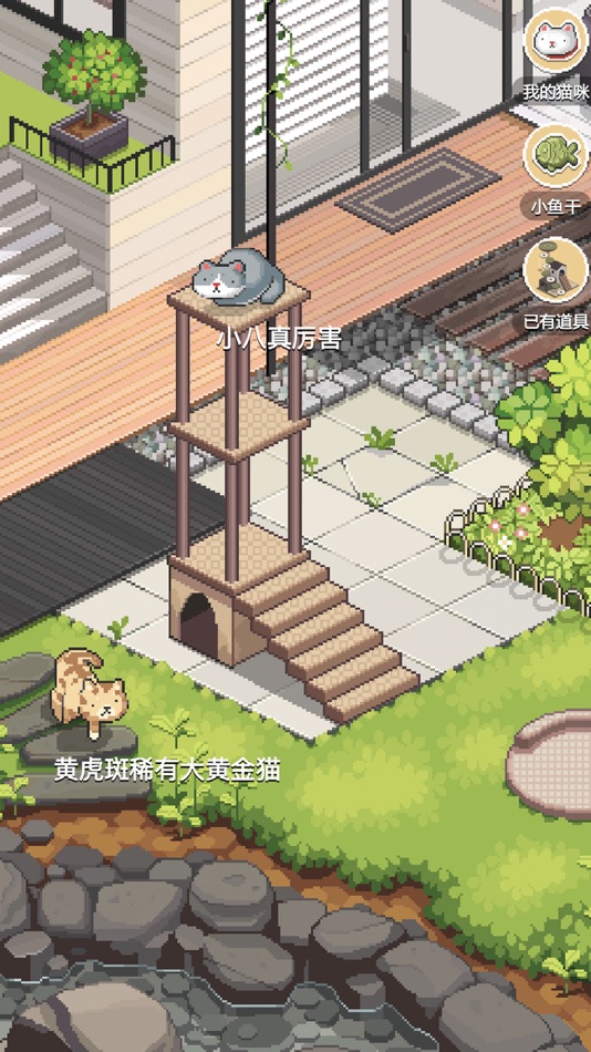 #3. 干词-背单词学英语神器 (iOS) 由: BeiJing Huohuo Information Technology Co., Ltd.