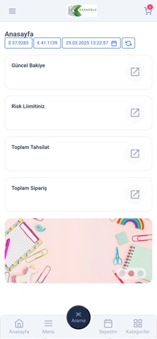 Karaoğlu Kırtasiye B2B screenshot