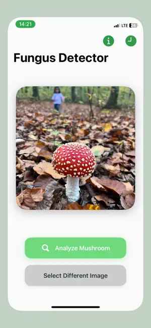 Mushroom AI – Identify Species screenshot 3