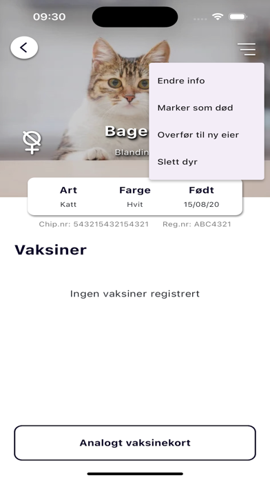 Digimal Screenshot