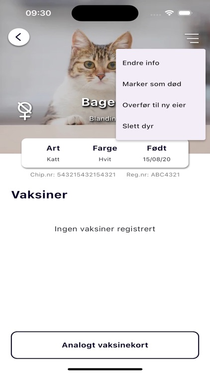 Digimal screenshot-3