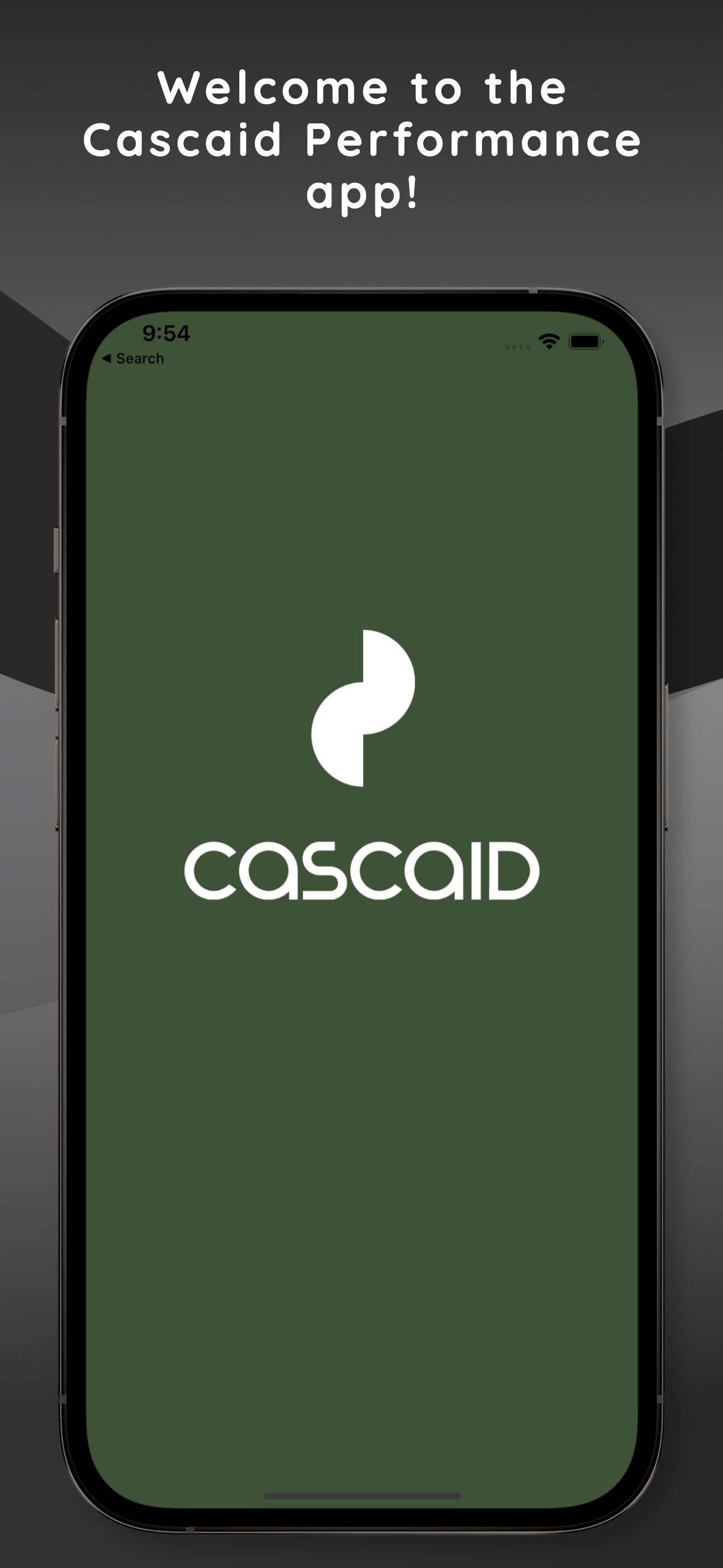 Cascaid Performance