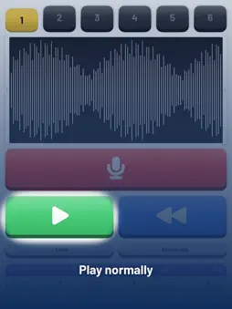 SingFun: Reverse Audio Singing screenshot 10