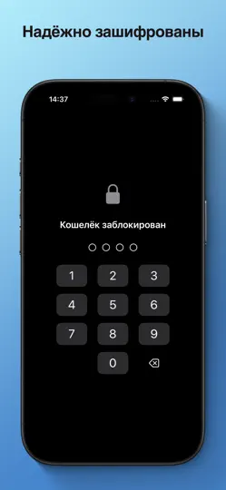 Скриншот Кошелёк на iPhone 2