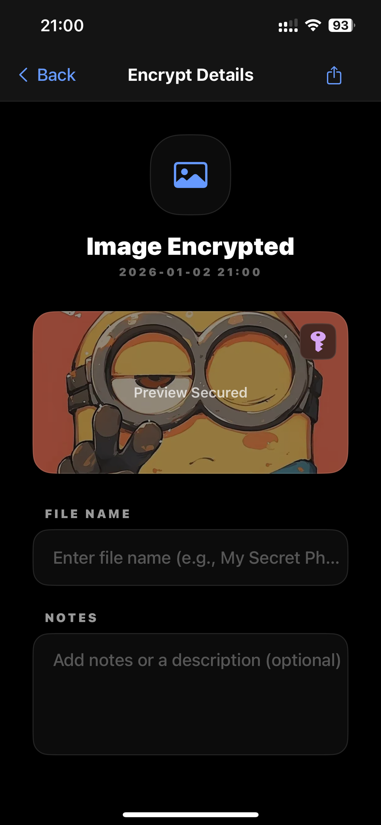 IVault-Secure local encryption screenshot 10