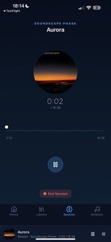 Healing Soundscapes screenshot