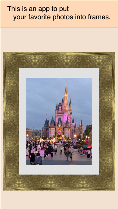 in The Picture Frame iPhone screenshot 1 - Photo & Video app