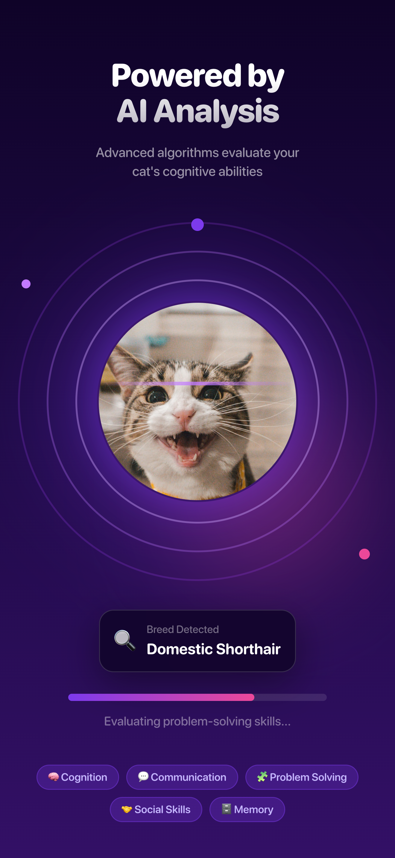 Cat IQ Test screenshot 4