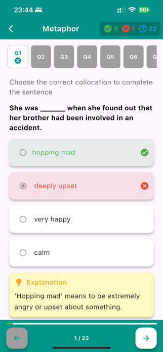 English Collocation In Use Screenshot 9 of 10