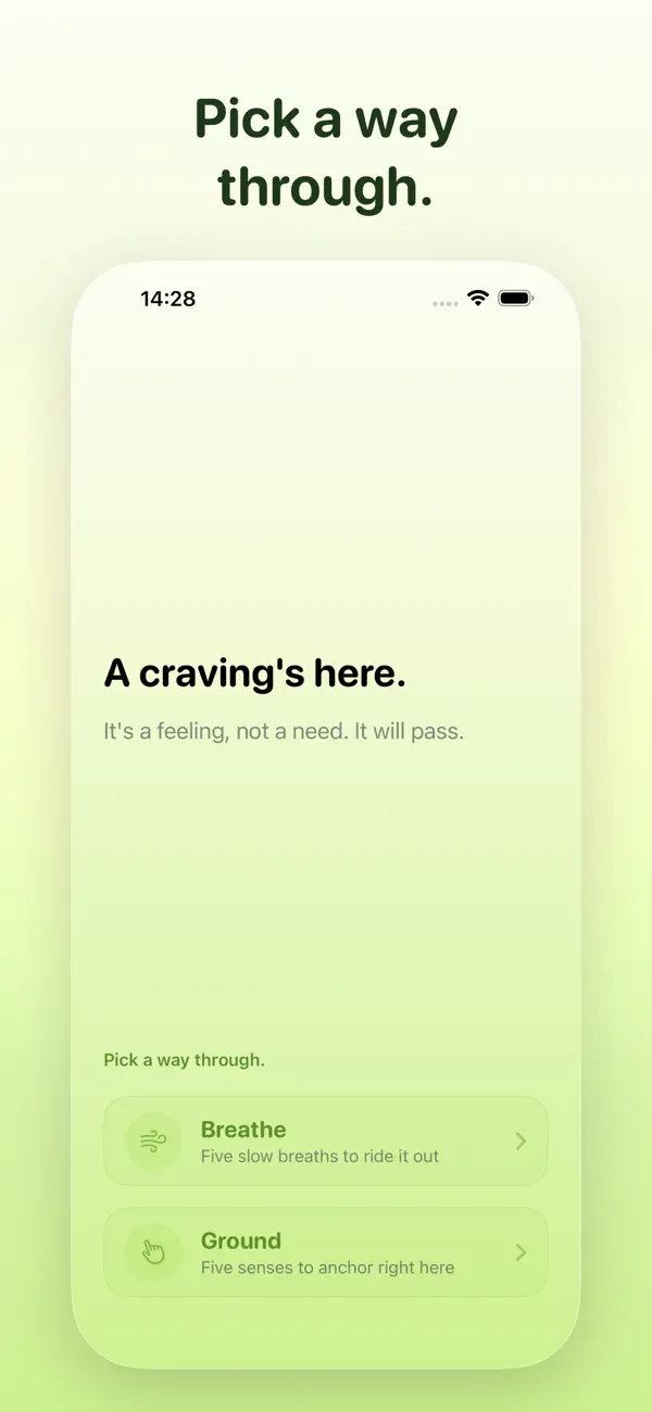 Screenshot #2 pour Smoke Free Forever
