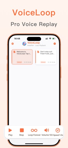 VoiceLoop-TTS Loop Player Screenshot 1 of 3