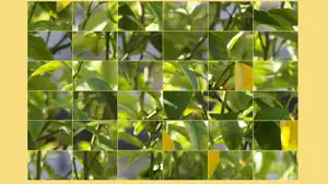 Jigsaw Puzzle Break screenshot 1