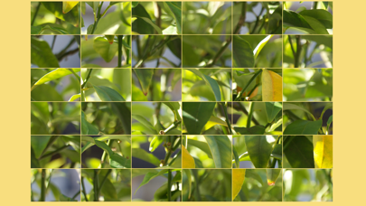 Jigsaw Puzzle Break Screenshot 1 of 2