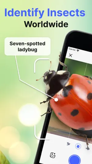 Bug Identifier Insect Finder screenshot 1