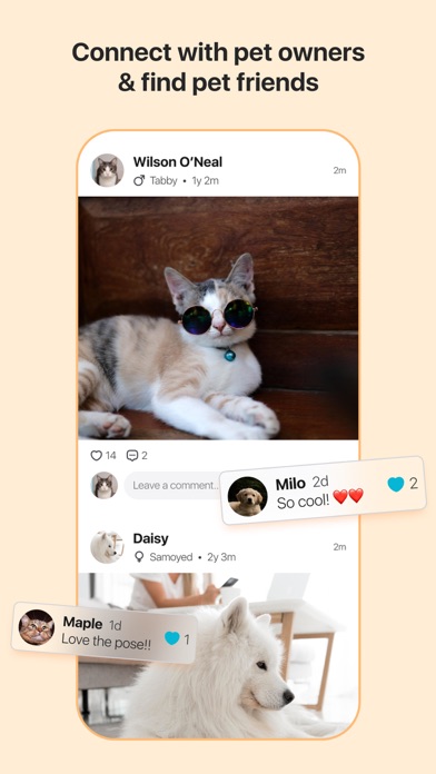 Pet Mind: AI Cat & Dog Care Screenshot