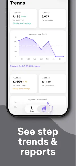 LittySteps: Basic Pedometer screenshot 3