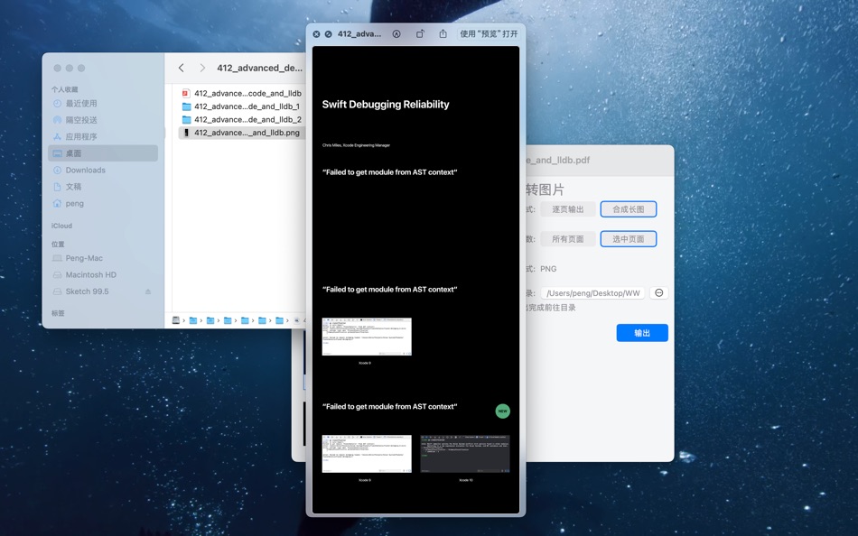 #4. PFD助手 (macOS) 由: 少敏 何