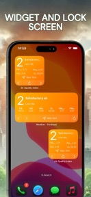 Pollution • Pollen • Widget screenshot