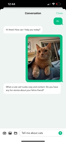 Call AI - simple voice chat iPhone screenshot