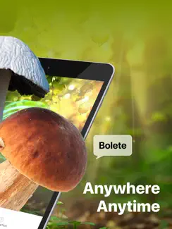 Picture Mushroom: Identifier iPad image 2