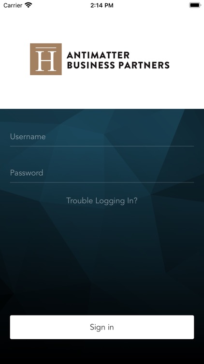 Antimatter Business Partners