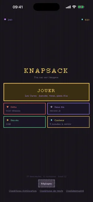 Knapsack: The Game screenshot 1
