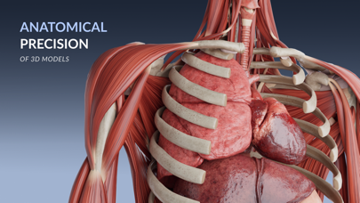 VOKA 3D Anatomy & Pathology Screenshot