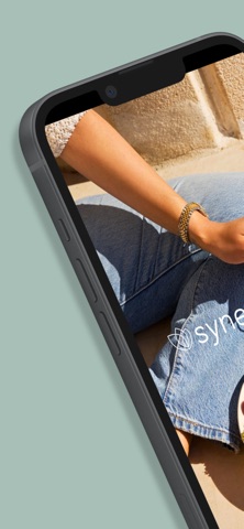 Synergised screenshot