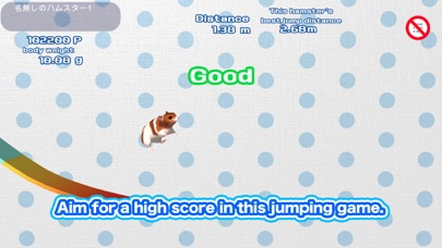 Play with your hamster Screenshot