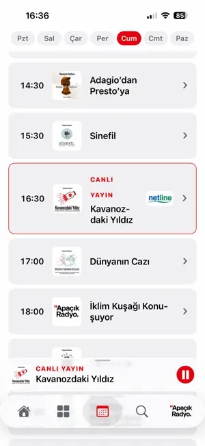 Apaçık Radyo screenshot 4