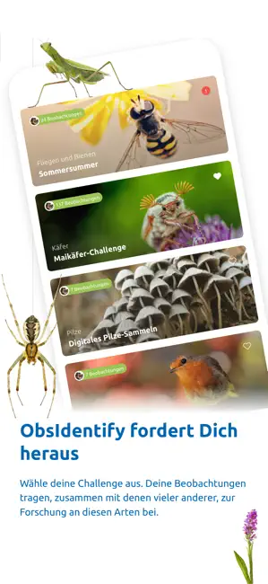 ObsIdentify iPhone screenshot 5