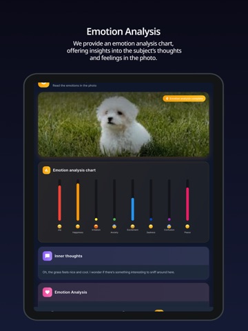 AI Color & Style App Lookey iPad screenshot
