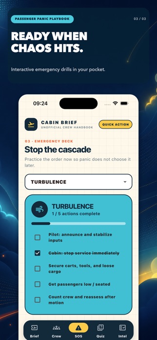 Dear Passengers Panic Playbook Screenshot 2 of 3